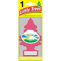 Air Fresh Tree Morn Fresh Single Box - Grocer wholesale