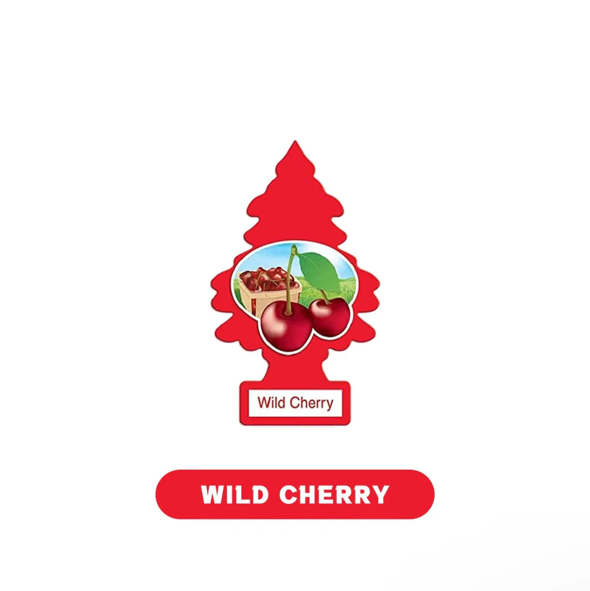 Little Tree Air Fresheners 1pk-24ct - Grocer wholesale