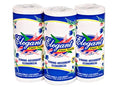 ELEGANT Paper Towels 2-ply - 70ct/30pk - Grocer wholesale