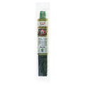 White Sage Hand-Dipped Incense