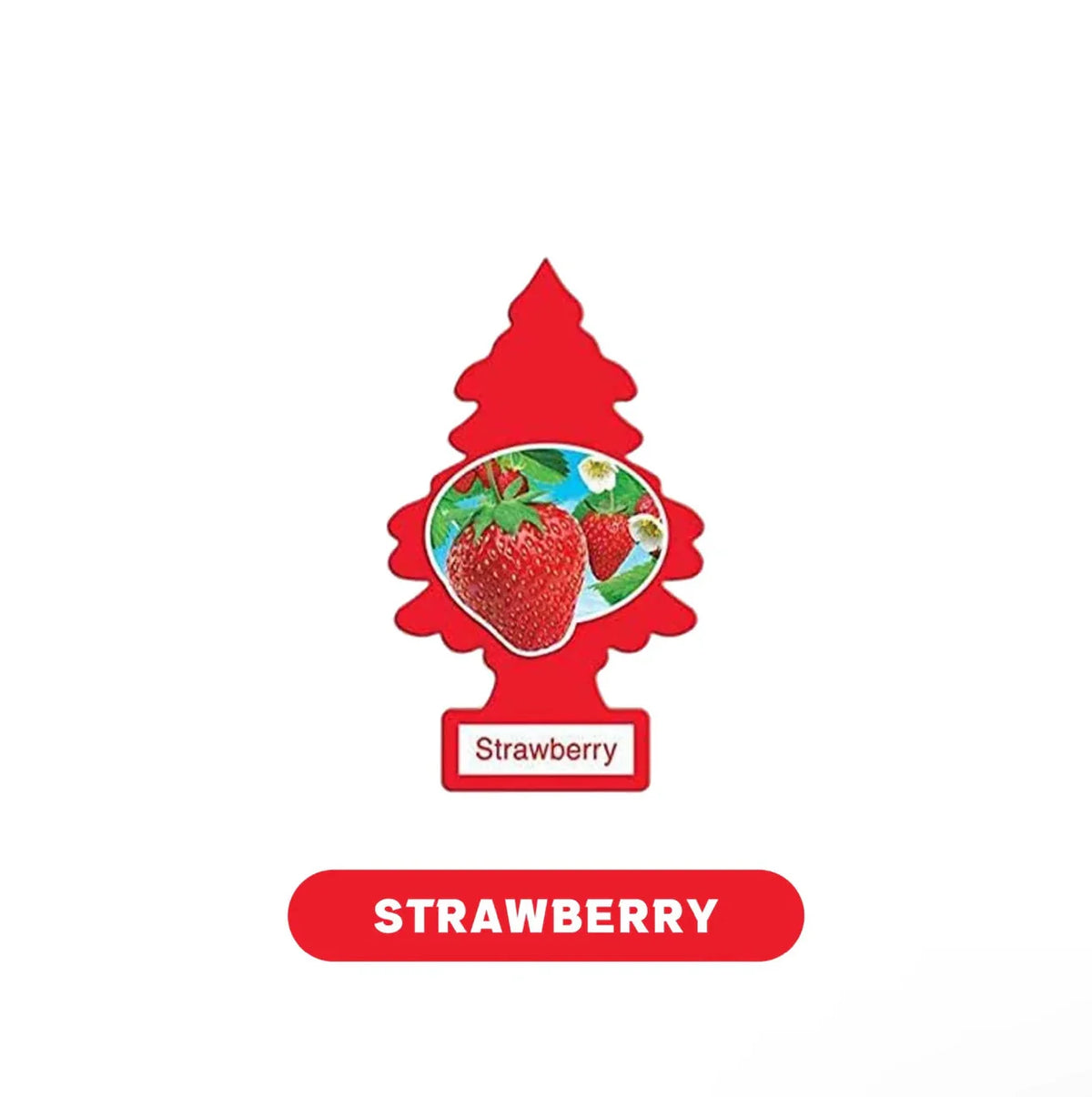 Little Tree Air Fresheners 1pk-24ct - Grocer wholesale